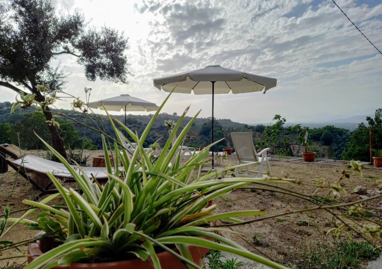 Villa De Felice 알바넬라 외부 사진